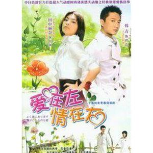 爱在左，情在右(2004)