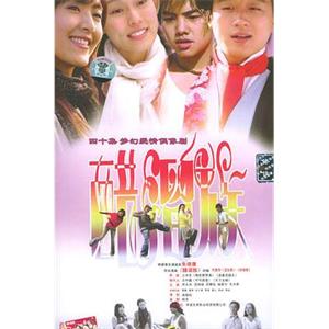 醋溜族(2004)