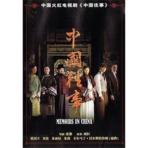 中国往事(2008)