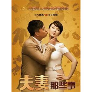 夫妻那些事(2012)