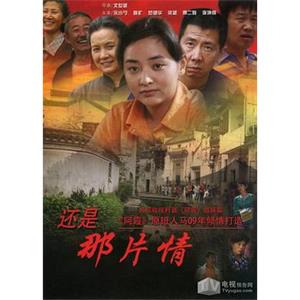 还是那片情(2013)