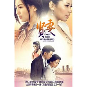 贤妻(2013)