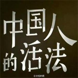 中国人的活法 第一季(2015)