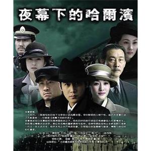 夜幕下的哈尔滨(2007)