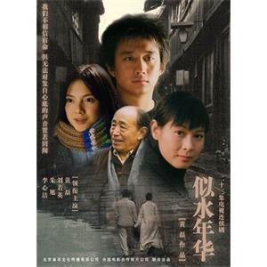 似水年华(2002)