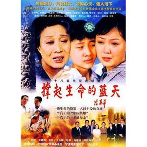 撑起生命的蓝天(2003)