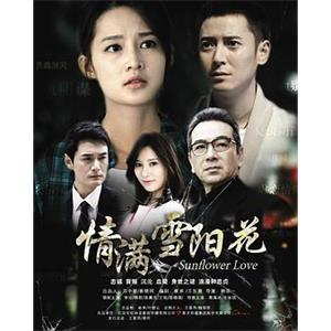 情满雪阳花(2015)