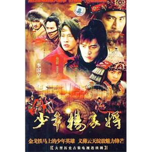 少年杨家将(2007)