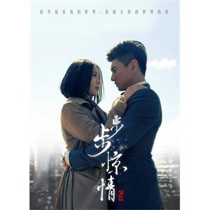 步步惊情(2014)