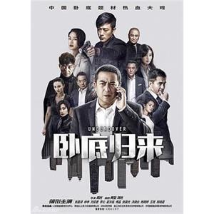 卧底归来(2017)