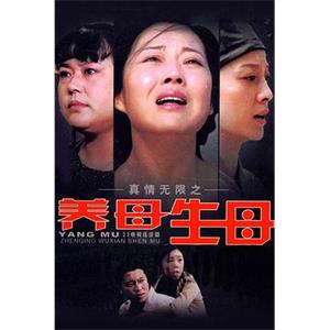 真情无限之养母生母(2009)