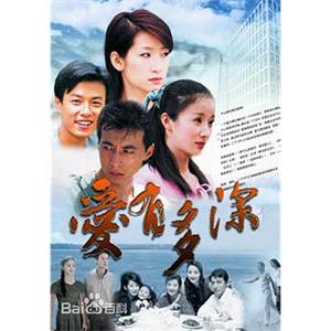 爱有多深(2006)