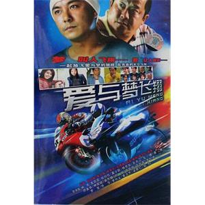 爱与梦飞翔(2004)