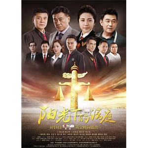 阳光下的法庭(2018)