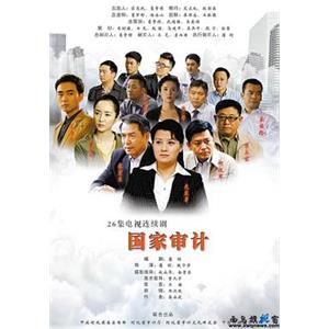 国家审计(2014)