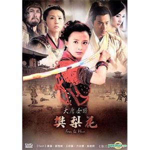 大唐女将樊梨花(2011)