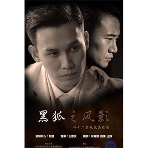 黑狐之风影(2016)