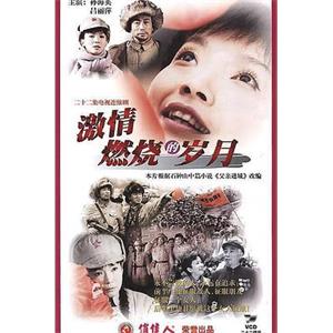 激情燃烧的岁月(2001)