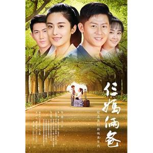 我的仨妈俩爸(2017)