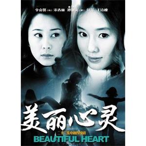 美丽心灵(2003)