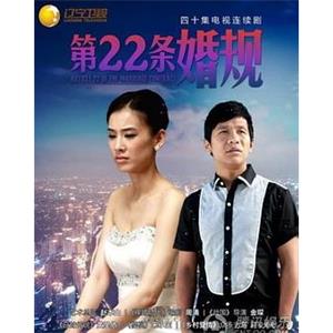 第22条婚规(2013)