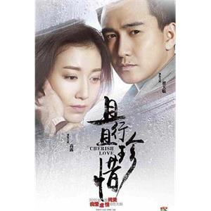 且行且珍惜(2015)