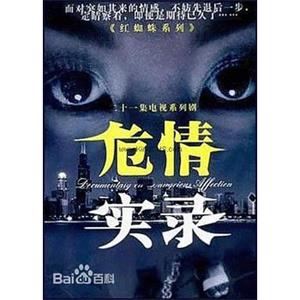 危情实录(2003)