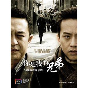 你是我兄弟(2010)