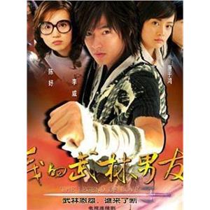 我的武林男友(2005)