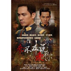 来不及说我爱你(2010)