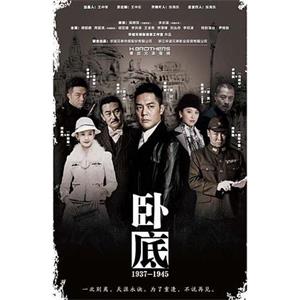 卧底(2014)