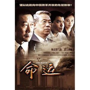 命运(2010)