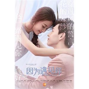 因为遇见你(2017)