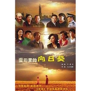 葵花进城(2010)