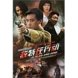 敌特在行动(2009)