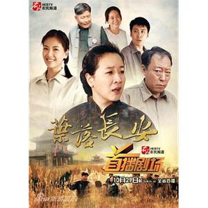 叶落长安(2011)电视剧全40集_国语中字_超清1080P_百度云网盘下载