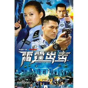 要案组雷霆出击(2008)