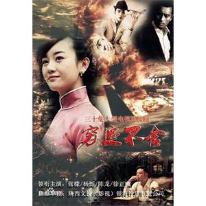 穷追不舍(2013)