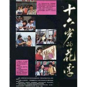 十六岁的花季(1989)