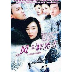 像风一样离去(2005)