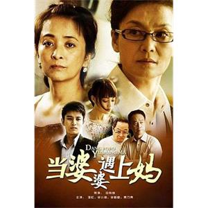 当婆婆遇上妈(2011)