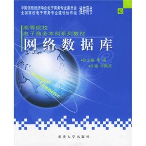 高等院校电子商务本科系列教材：网络数据库