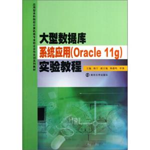 大型数据库系统应用（Oracle11g）实验教程/应用型本科院校计算机类专业校企合作实训系列教材