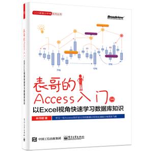 表哥的Access入门：以Excel视角快速学习数据库知识