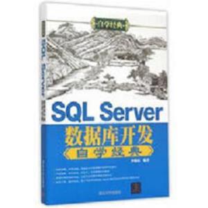 SQLServer数据库开发自学经典自学经典