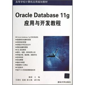 高等学校计算机应用规划教材：OracleDatabase11g应用与开发教程