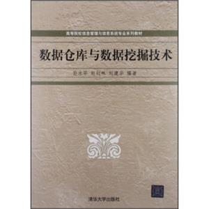 高等院校信息管理与信息系统专业系列教材：数据仓库与数据挖掘技术