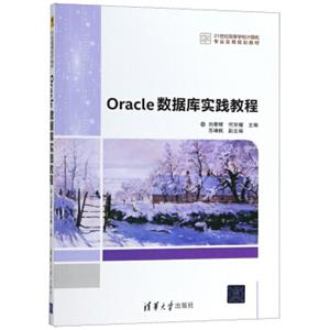 Oracle数据库实践教程/21世纪高等学校计算机专业实用规划教材