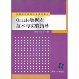 高等院校信息技术规划教材：Oracle数据库技术与实验指导