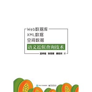 Web数据库、XML数据、空间数据语义近似查询技术